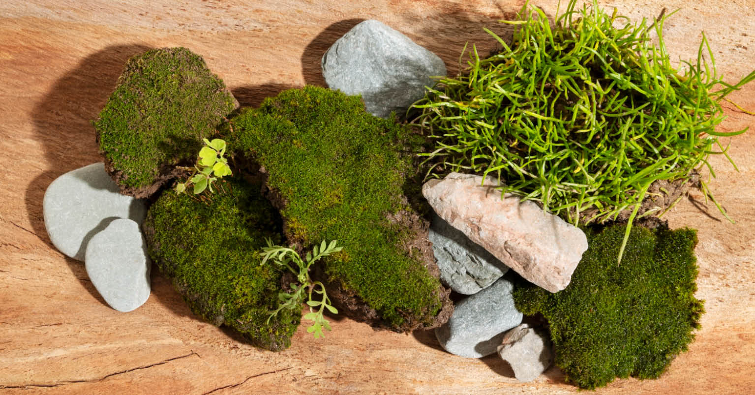 Atelier Land Art